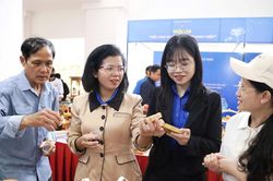 29 dự &aacute;n khởi nghiệp thanh ni&ecirc;n n&ocirc;ng th&ocirc;n tranh t&agrave;i tại L&acirc;m Đồng