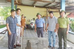 Bàn giao cá thể khỉ vàng cho Vườn Quốc gia Phong Nha-Kẻ Bàng