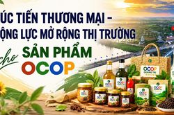X&uacute;c tiến thương mại-động lực mở rộng thị trường cho sản phẩm OCOP