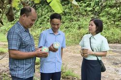Hỗ trợ người dân xây dựng mô hình phát triển kinh tế mới