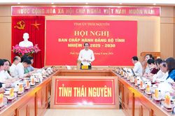 Tỉnh ủy Thái Nguyên: Thảo luận, cho ý kiến vào nhiều nội dung