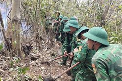Gia Lai: Ch&aacute;y rừng ở Quy Nhơn, giải cứu 2 người mắc kẹt tr&ecirc;n đỉnh n&uacute;i