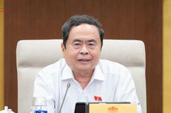 Tăng cường bảo vệ quyền h&agrave;nh nghề luật sư bằng chế t&agrave;i cụ thể
