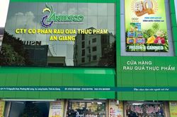 Cổ đ&ocirc;ng Antesco sắp nhận cổ tức bằng cổ phiếu tỷ lệ 20%