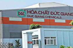 Lợi nhuận bốc hơi một nửa, Hóa chất Đức Giang (DGC) bị kiểm toán ngoại trừ do lãnh đạo vướng vòng lao lý