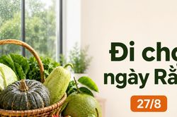 Hôm nay đi chợ 27/8 - Rằm tháng Bảy: Rau củ từ 16.500 đồng/kg, thanh long 19.000 đồng/kg