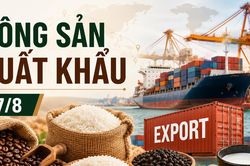 Nông sản xuất khẩu ngày 27/8: Arabica giảm gần 4%, gạo và hồ tiêu Việt Nam giữ giá