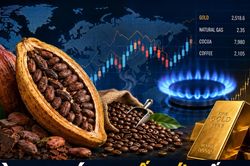 Thị trường h&agrave;ng h&oacute;a thế giới tối 27/8: Ca cao l&ecirc;n đỉnh 6 tuần, c&agrave; ph&ecirc; Arabica giảm hơn 3%