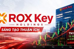 ROX Key dự phòng toàn bộ 34,5 tỷ đồng góp vào một nền tảng số
