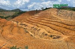 Cần rà soát, đánh giá đầy đủ về tiến độ đầu tư dự án của Công ty TNHH Quý Thanh Lộc Phát