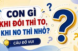 Con gì khi đói thì to, khi no thì nhỏ?