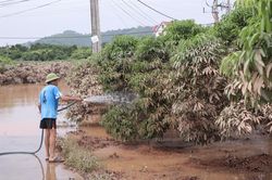 Thủ phủ vải thiều Lục Ngạn 'tho&aacute;t lũ', n&ocirc;ng d&acirc;n vẫn thấp thỏm lo mất m&ugrave;a
