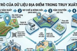 Dữ liệu địa điểm góp phần nâng tầm chuỗi giá trị cung ứng