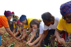 Sức khỏe đất và bài toán an ninh lương thực