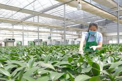 H&agrave; Nội phấn đấu đến năm 2030, thu nhập khu vực n&ocirc;ng th&ocirc;n đạt 135 triệu đồng/người/năm