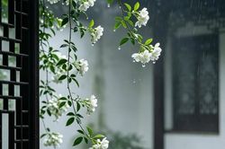 Số cuối ngày sinh Âm lịch của người trí tuệ, bản lĩnh, càng va vấp càng dễ bật lên