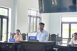 Điều khiển xe gây tai nạn, nam thanh niên lĩnh án