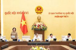 UBTVQH nhất tr&iacute; sửa đổi, bổ sung 7 luật lĩnh vực văn h&oacute;a, thể thao