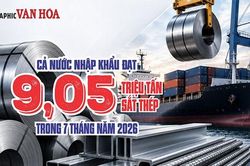 Việt Nam nhập 9,05 triệu tấn sắt thép sau 7 tháng, Trung Quốc chiếm gần 50%