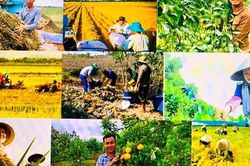 Đề xuất ch&iacute;nh s&aacute;ch ph&aacute;t triển kinh tế n&ocirc;ng th&ocirc;n, đa dạng h&oacute;a sinh kế, việc l&agrave;m
