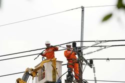 Thành phố Hồ Chí Minh: Cấp điện an toàn, ổn định tuyệt đối cho lễ Quốc khánh 2/9