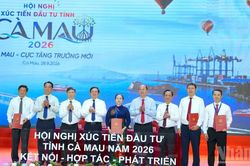 Cà Mau từ tiềm năng đến cực tăng trưởng mới