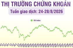 [Infographic] Chứng khoán tuần 24-28/8: VN-Index tăng 3,6% so tuần trước, khối lượng giao dịch tăng 27,4%