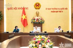 Đề xuất hàng loạt chính sách hỗ trợ doanh nghiệp nhỏ và vừa