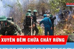 Gia Lai: Cháy rừng phòng hộ, giải cứu kịp thời 2 người dân