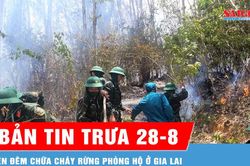 Bản tin trưa 28-8: H&agrave;ng trăm c&aacute;n bộ, chiến sĩ b&aacute;m chốt, chữa ch&aacute;y rừng ph&ograve;ng hộ n&uacute;i Vũng Chua