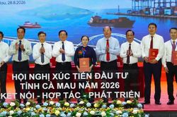C&agrave; Mau trao quyết định đầu tư cho 19 dự &aacute;n, vốn hơn 40.000 tỷ đồng