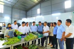 Đào tạo, chuyển giao kỹ thuật nâng sinh kế nông dân Phú Thọ