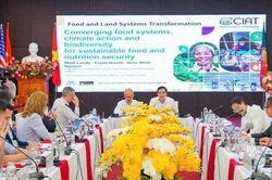 T&igrave;m động lực mới cho tăng trưởng kinh tế Việt Nam