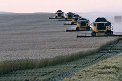 Giá lúa mì lên mức cao nhất trong ba năm khi căng thẳng Nga-Ukraine leo thang
