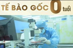 Rầm rộ quảng b&aacute; đưa người Việt ra nước ngo&agrave;i ti&ecirc;m tế b&agrave;o gốc
