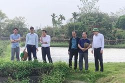 Nông dân Bắc Ninh đổi cách nuôi cá, giảm công sức nhờ công nghệ 4.0