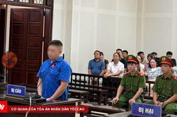 Dùng 5 sổ đỏ giả lừa đảo 4,9 tỷ đồng