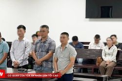 Tuyên án đường dây buôn lậu hổ xuyên quốc gia