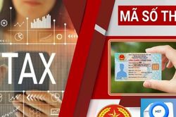 Doanh nghiệp không hoạt động tại địa chỉ đăng ký: 5 bước khôi phục mã số thuế