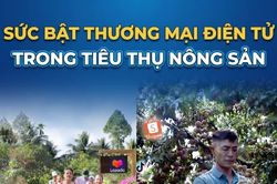 Sức bật thương mại điện tử trong tiêu thụ nông sản