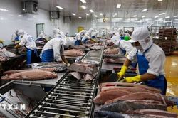 Quy định chứng nhận thuỷ sản, sản phẩm thủy sản xuất khẩu vào thị trường Hoa Kỳ