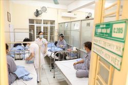 Hà Nội ghi nhận 2.020 trường hợp mắc sốt xuất huyết tại 115/126 phường, xã