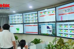 Công viên phần mềm Quang Trung số hóa dữ liệu cây xanh bằng mã QR và GIS