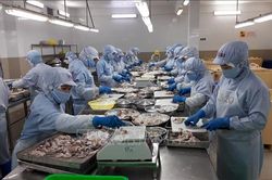 Nghị quyết 20-NQ/TW: Cơ cấu lại ng&agrave;nh thủy sản theo hướng hiện đại, xanh v&agrave; bền vững