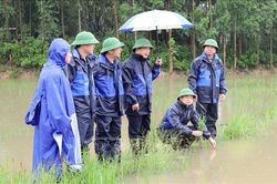 Bắc Ninh khẩn trương kh&ocirc;i phục sản xuất sau mưa lũ
