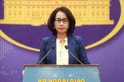 Việt Nam kiên quyết phản đối mọi hoạt động của nước ngoài đá Hải Sâm và đảo Ba Ba