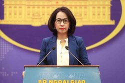 Việt Nam ki&ecirc;n quyết phản đối mọi hoạt động của nước ngo&agrave;i đ&aacute; Hải S&acirc;m v&agrave; đảo Ba Ba