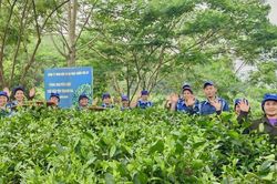 An toàn thực phẩm - nền tảng nâng tầm sản phẩm OCOP Phú Thọ