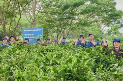 An toàn thực phẩm - nền tảng nâng tầm sản phẩm OCOP Phú Thọ
