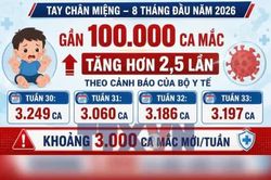 Nguy cơ lây lan bệnh tay chân miệng đầu năm học